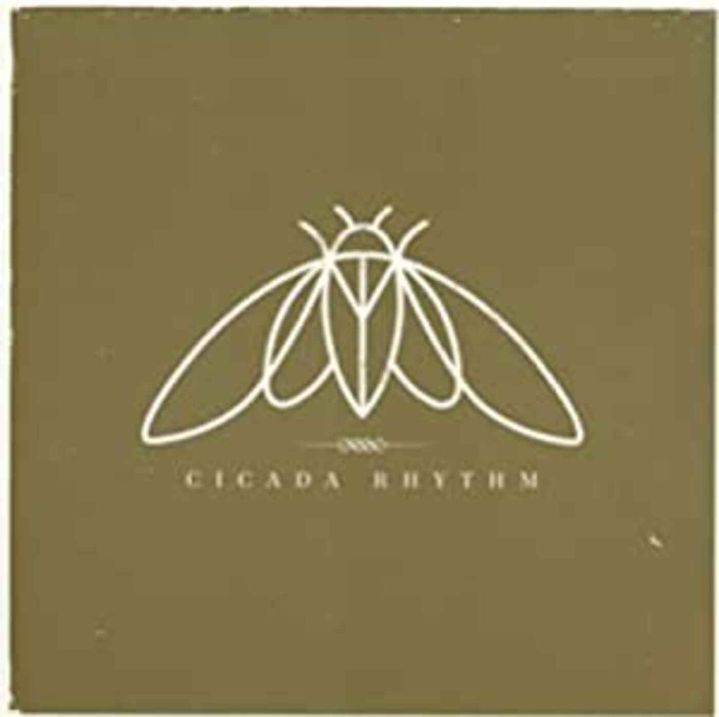 Cicada Rhythm [CD]