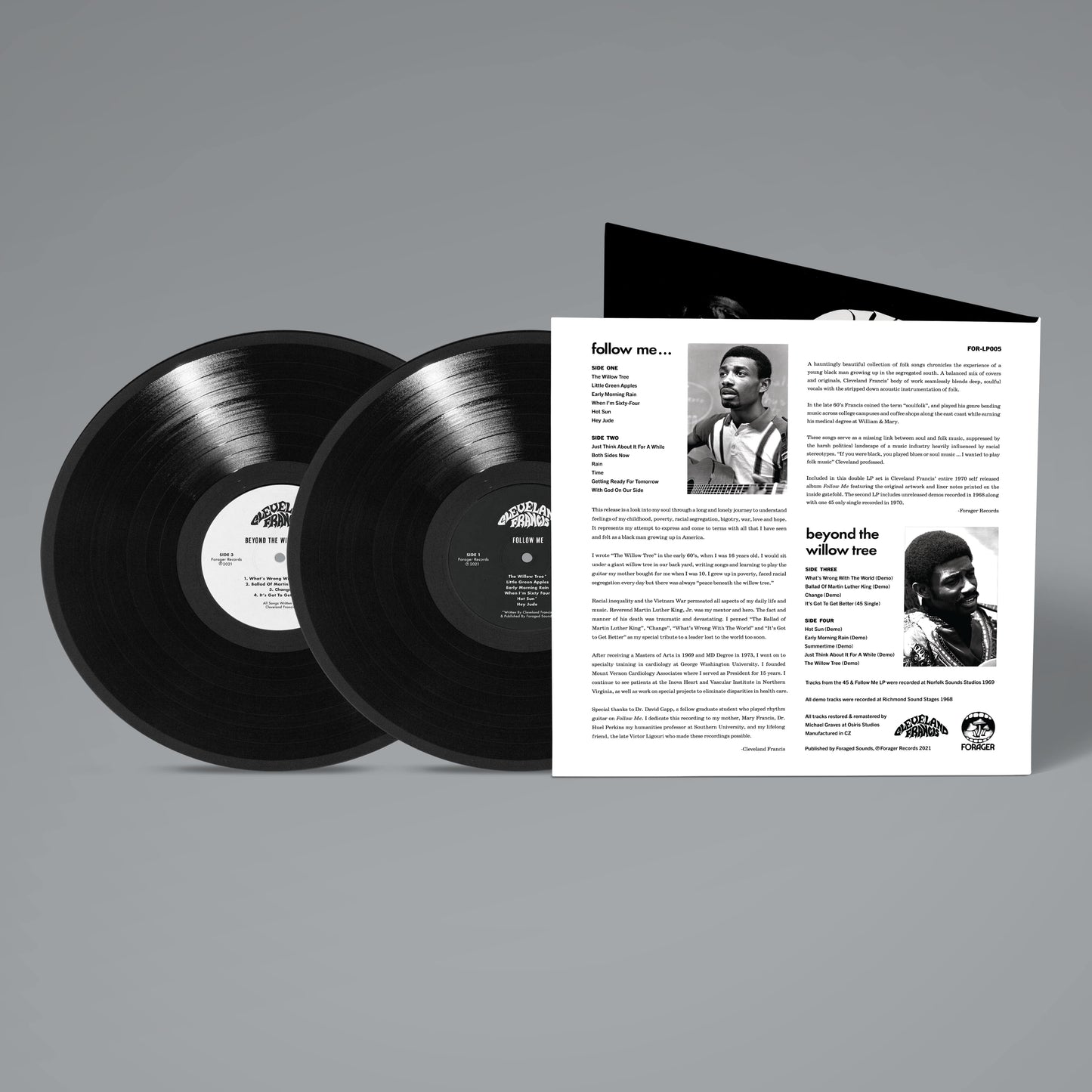 Beyond The Willow Tree [Vinyl]