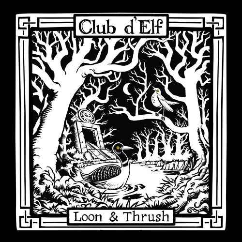 Loon & Thrush [Vinyl]