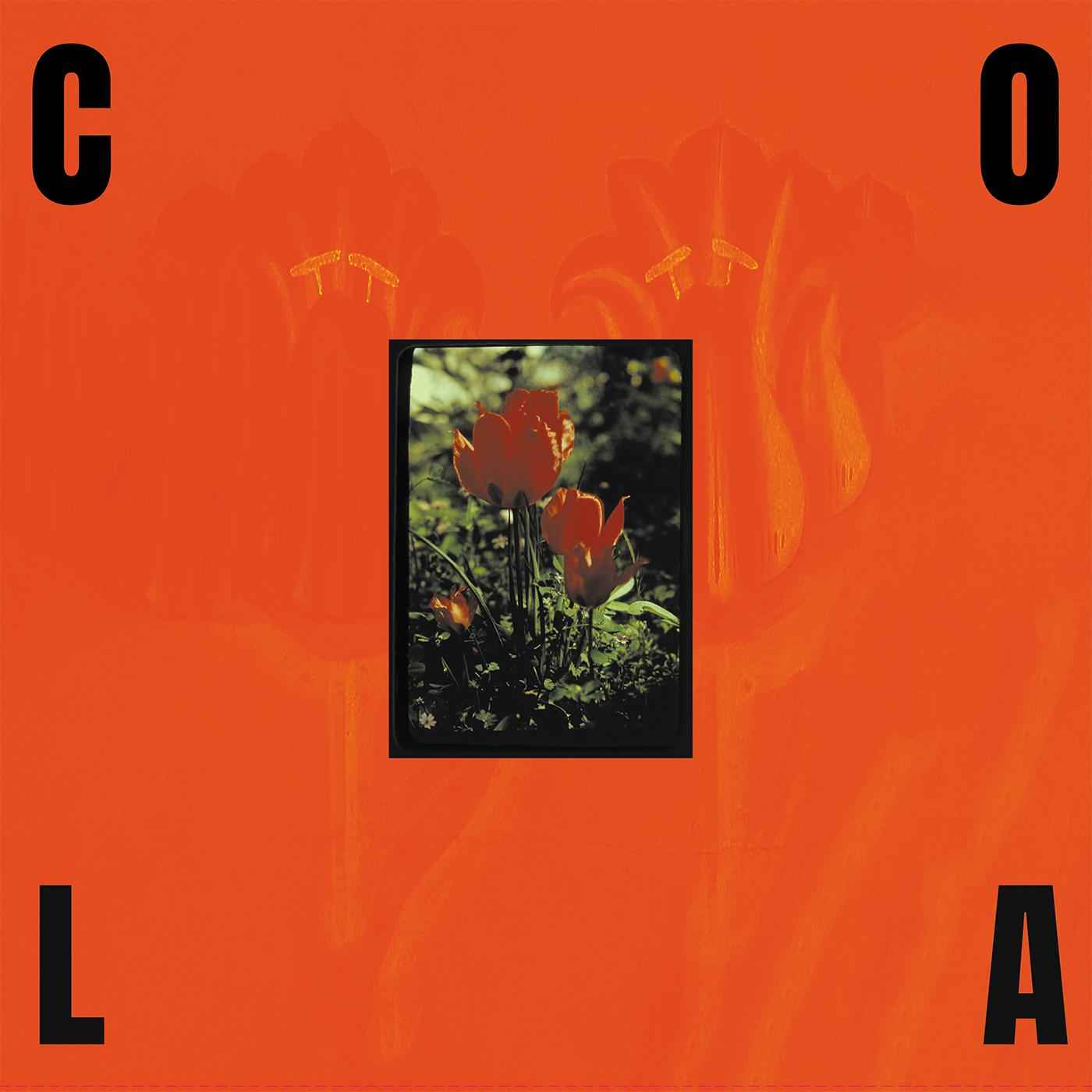 The Gloss (Black In Orange Vinyl) [Vinyl]