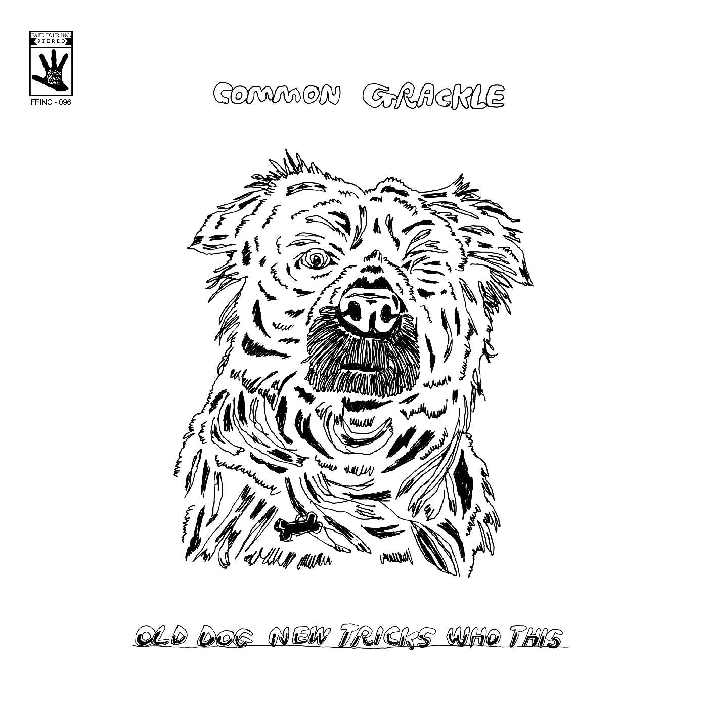 Common Grackle - Old Dog New Tricks Who This [Vinyl]