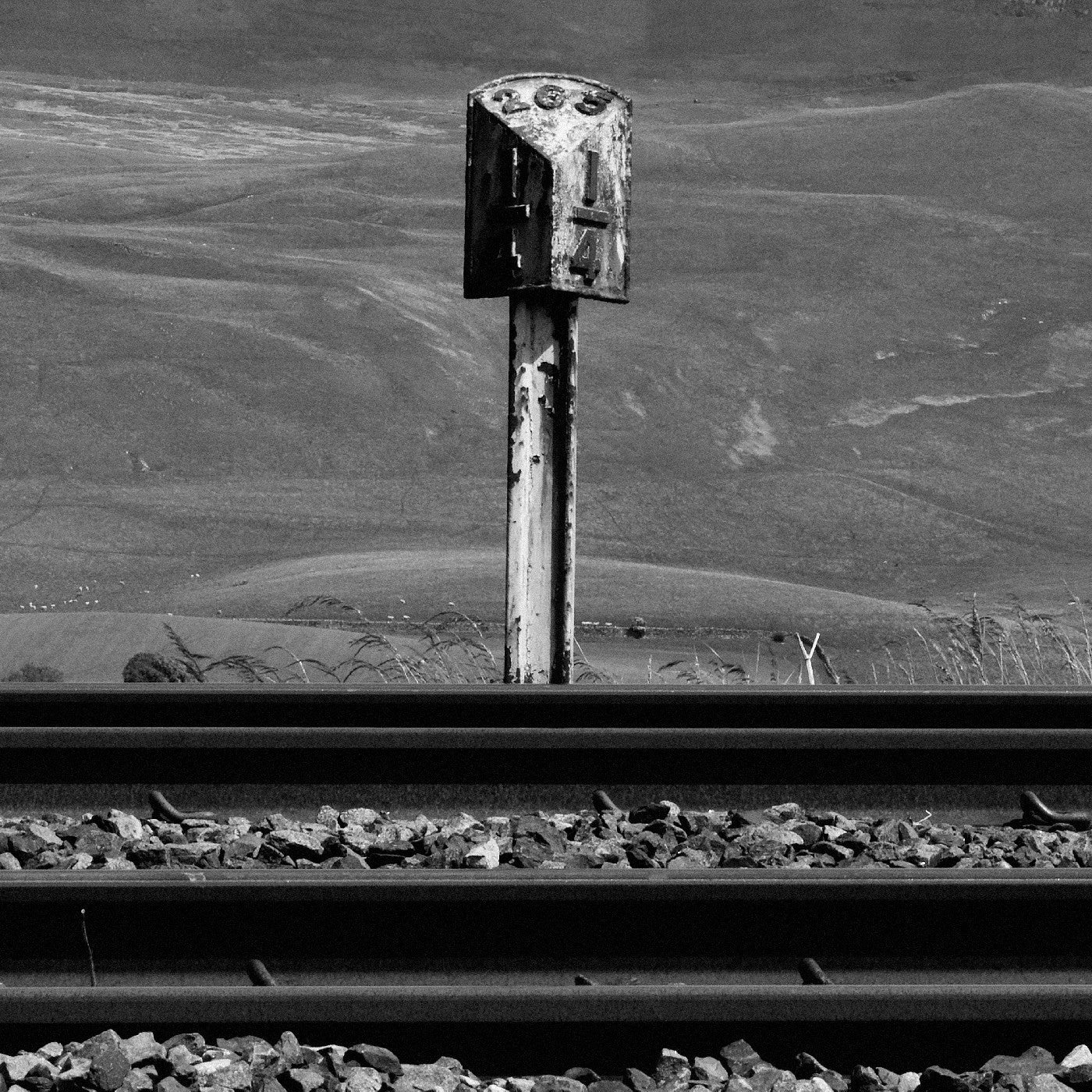 Sidings (Indie Exclusive "Freight Bauxite" Vinyl) (Indie Exclusive) [Vinyl]