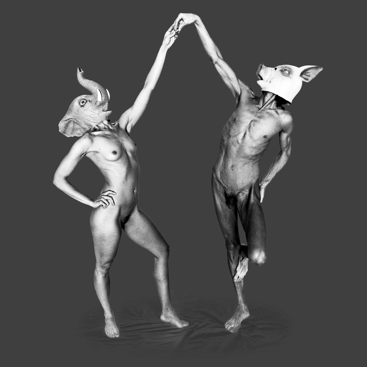 Forfeit/Fortune (Deluxe CD+DVD ) [CD]