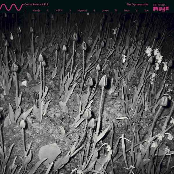 CUCINA POVERA & ELS - The Oystercatcher [Vinyl]