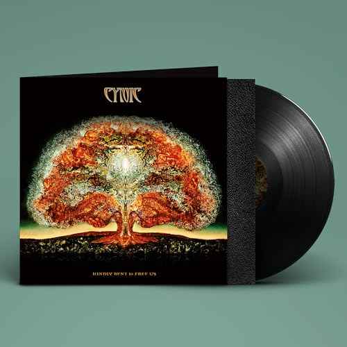 Kindly Bent To Free Us [Vinyl]