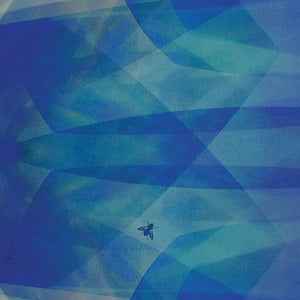 Bluefly [CD]