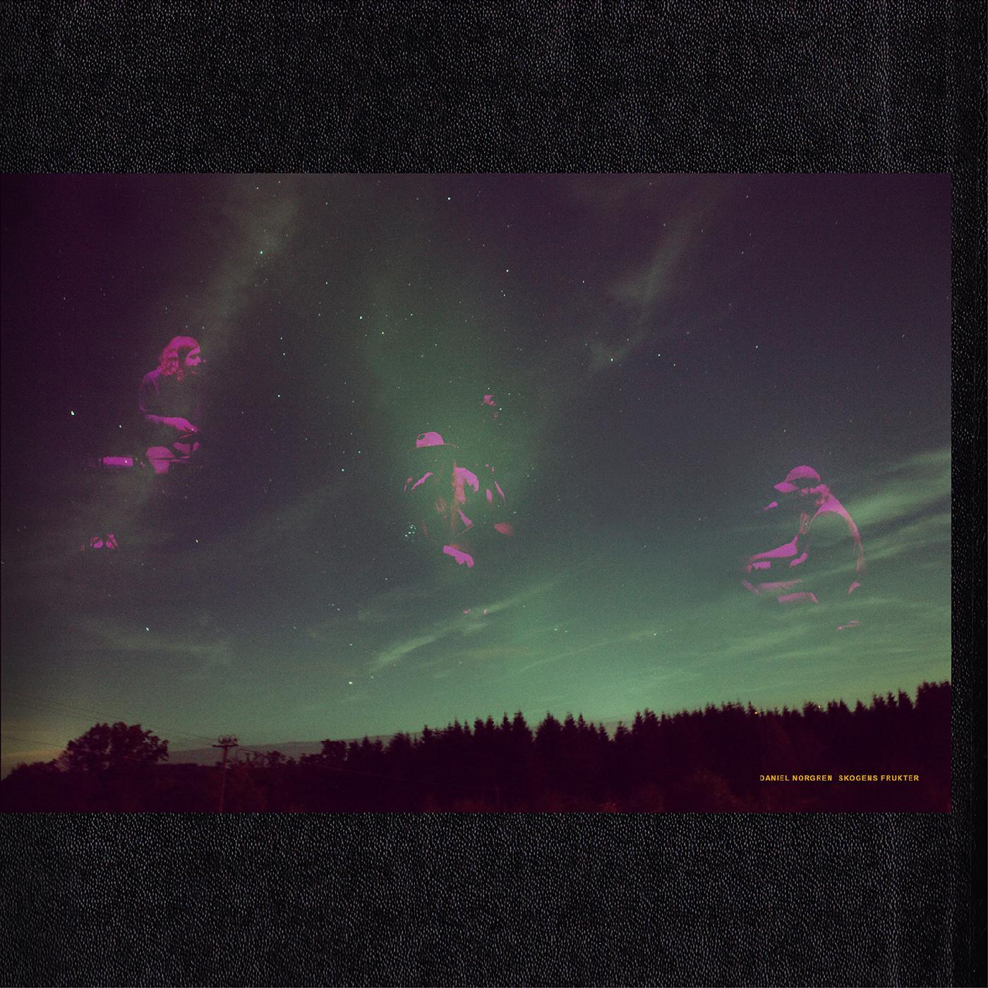 Skogens Frukter [Vinyl]