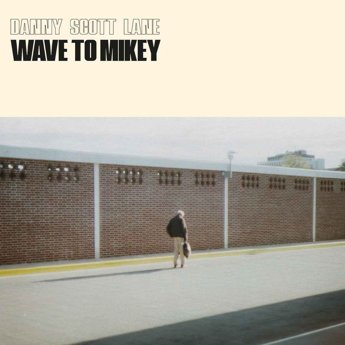 Wave To Mikey [Vinyl]