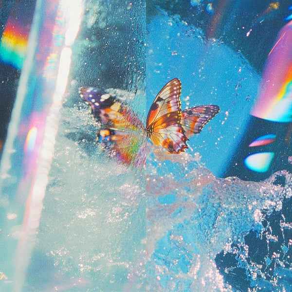 Daphni - Butterfly [2LP] [Vinyl]