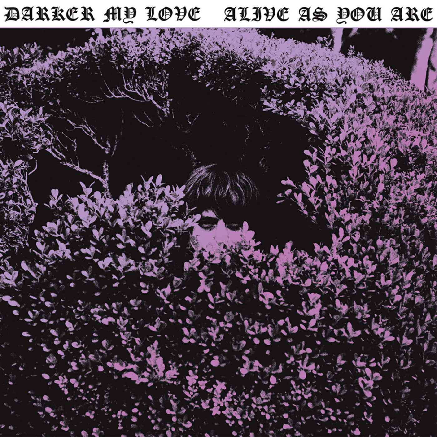 Darker My Love - Alive As You Are [Vinyl]