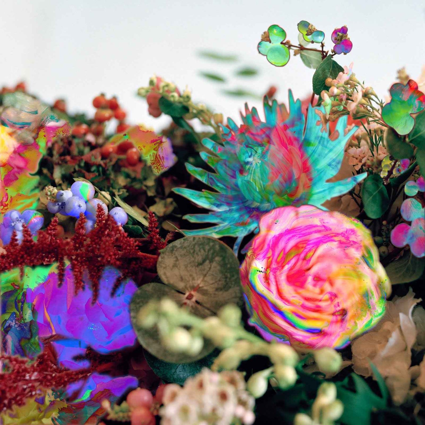 News From Nowhere [CD]