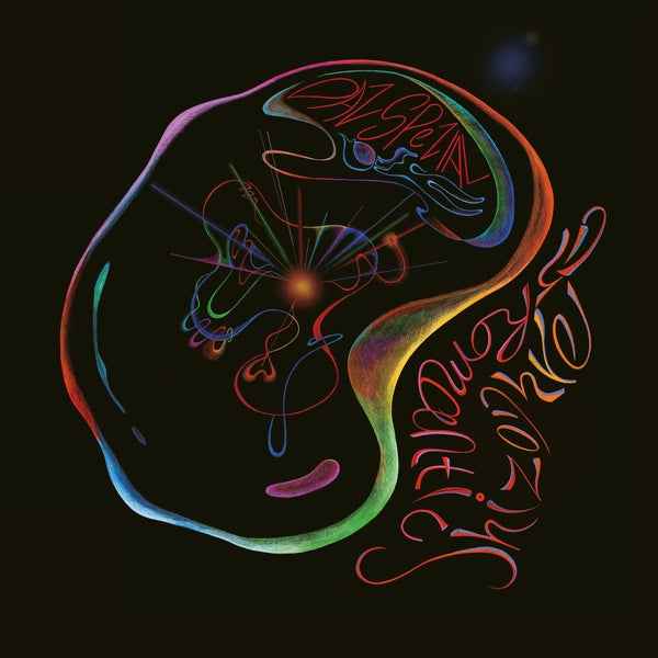 Das Spezial - Romantic Schizophremic  [12"] [Vinyl]