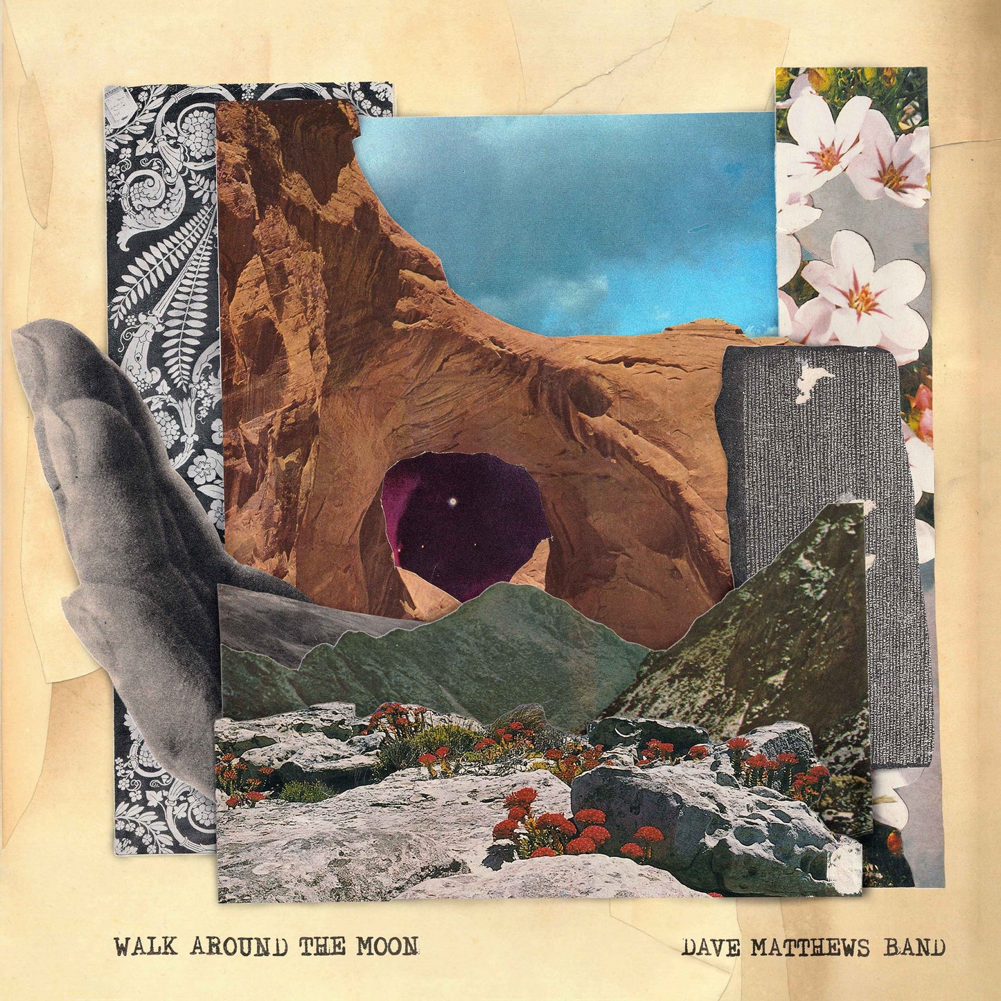 Dave Matthews Band - Walk Around The Moon (Clear Vinyl, Indie Exclusive) [Vinyl]