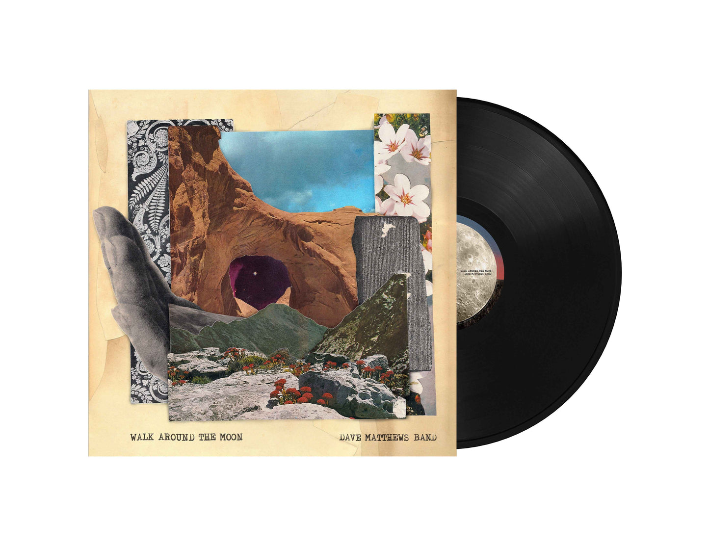 Dave Matthews Band - Walk Around The Moon (Wide Vinyl, Black) [Vinyl]