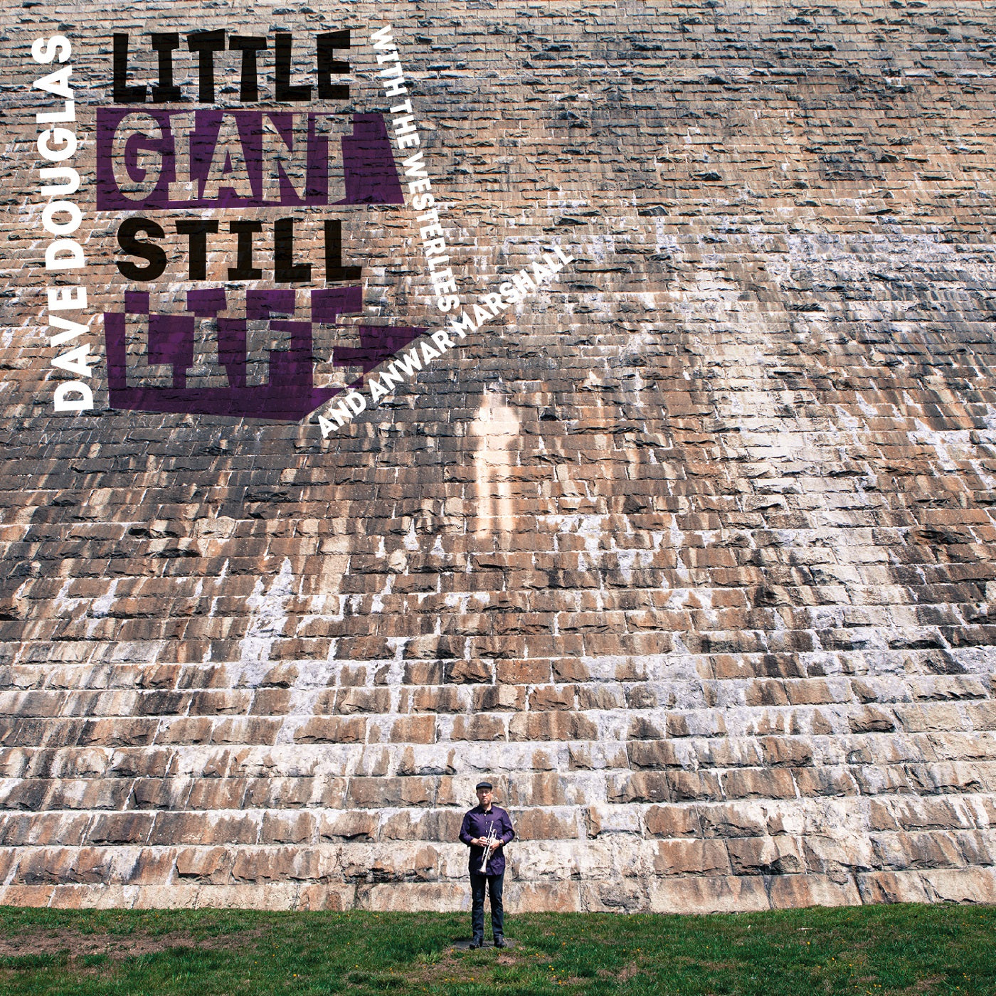 Little Giant Still Life [CD]