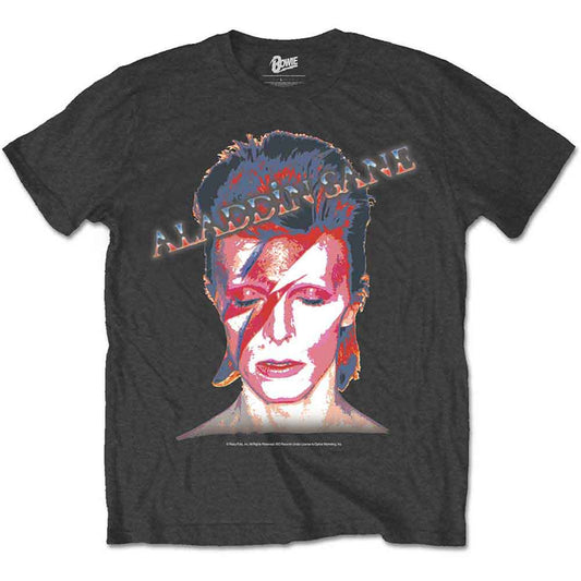 David Bowie Aladdin Sane [T-Shirt] - Rock Band Apparel