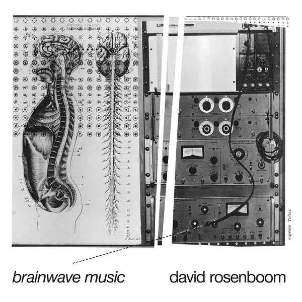 Brainwave Music [Vinyl]