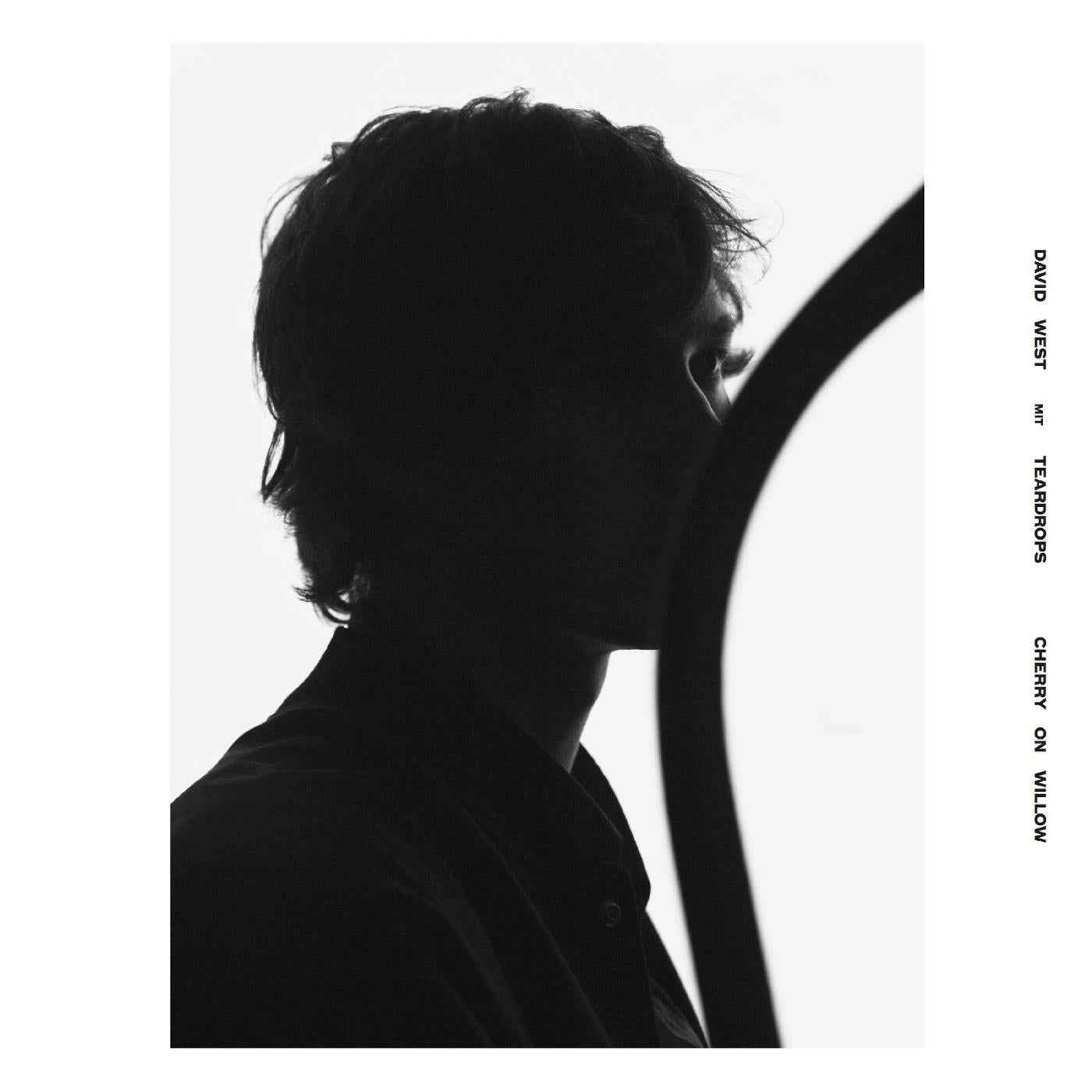 Cherry On Willow [CD]
