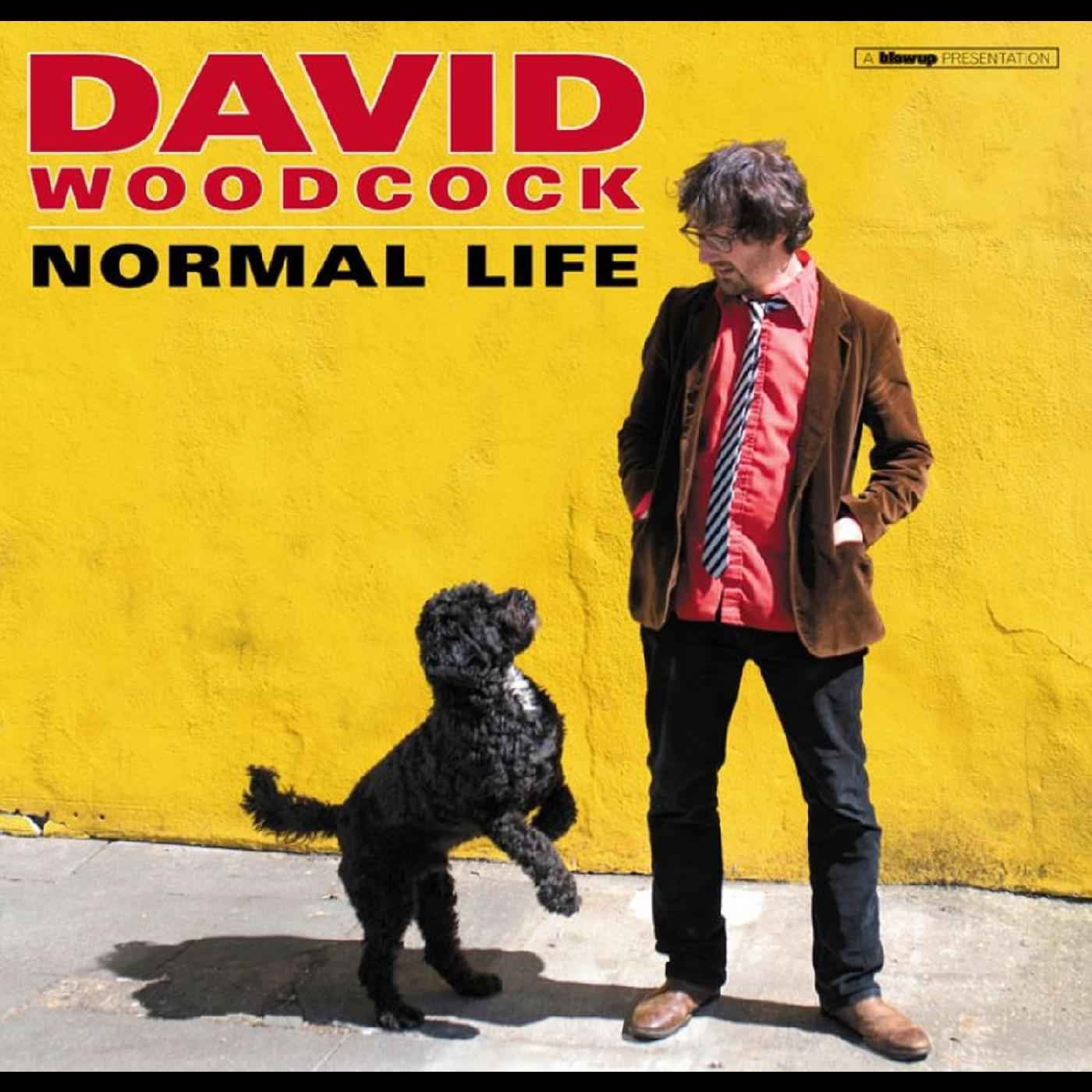 Normal Life [CD]