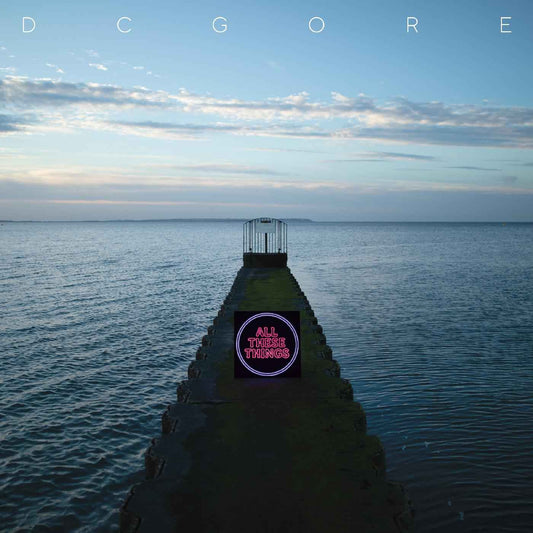 All These Things [Vinyl]