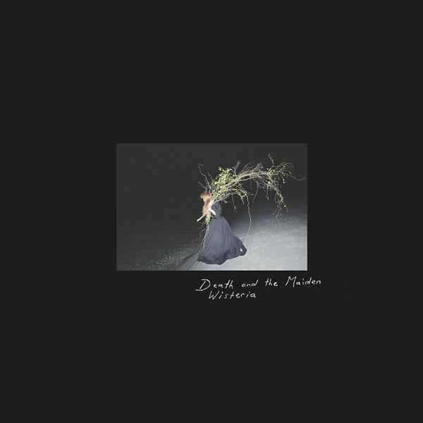 Wisteria [CD]