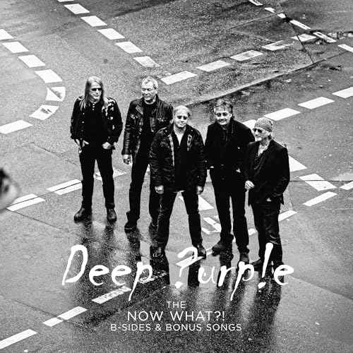 The Now What?! B-Sides And Bonus Songs (Purple Lp) [Vinyl]