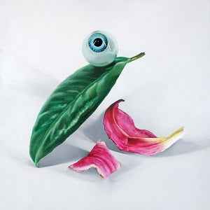 Petals Have Fallen [CD]