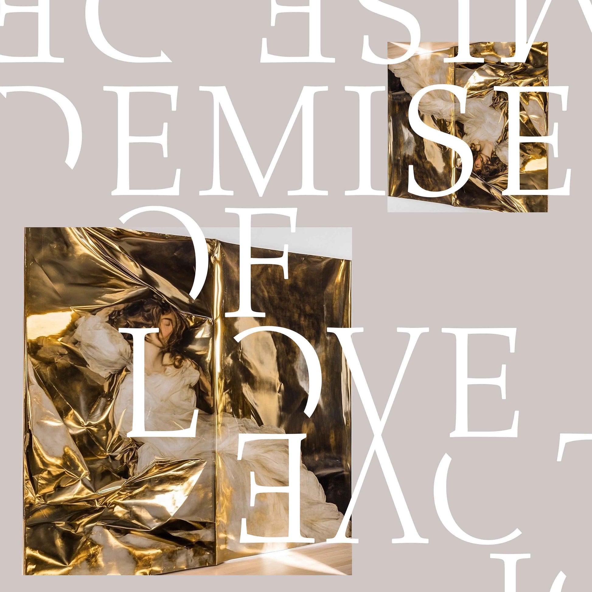 Demise Of Love [Vinyl]