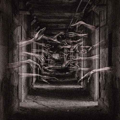 Demonic Possessor - Porous Chambers [Vinyl]