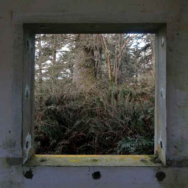 DEREK HUNTER WILSON - ScuLPtures [LP] [Vinyl]