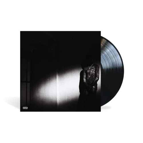 NO STYLIST [LP] [Vinyl]