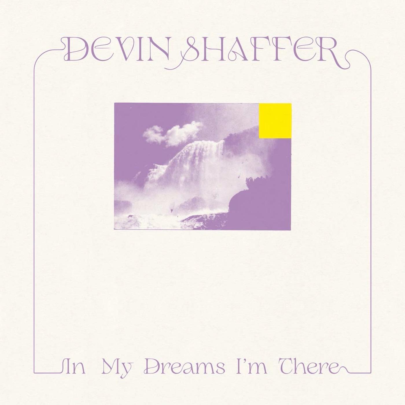 In My Dreams I'm There [Vinyl]