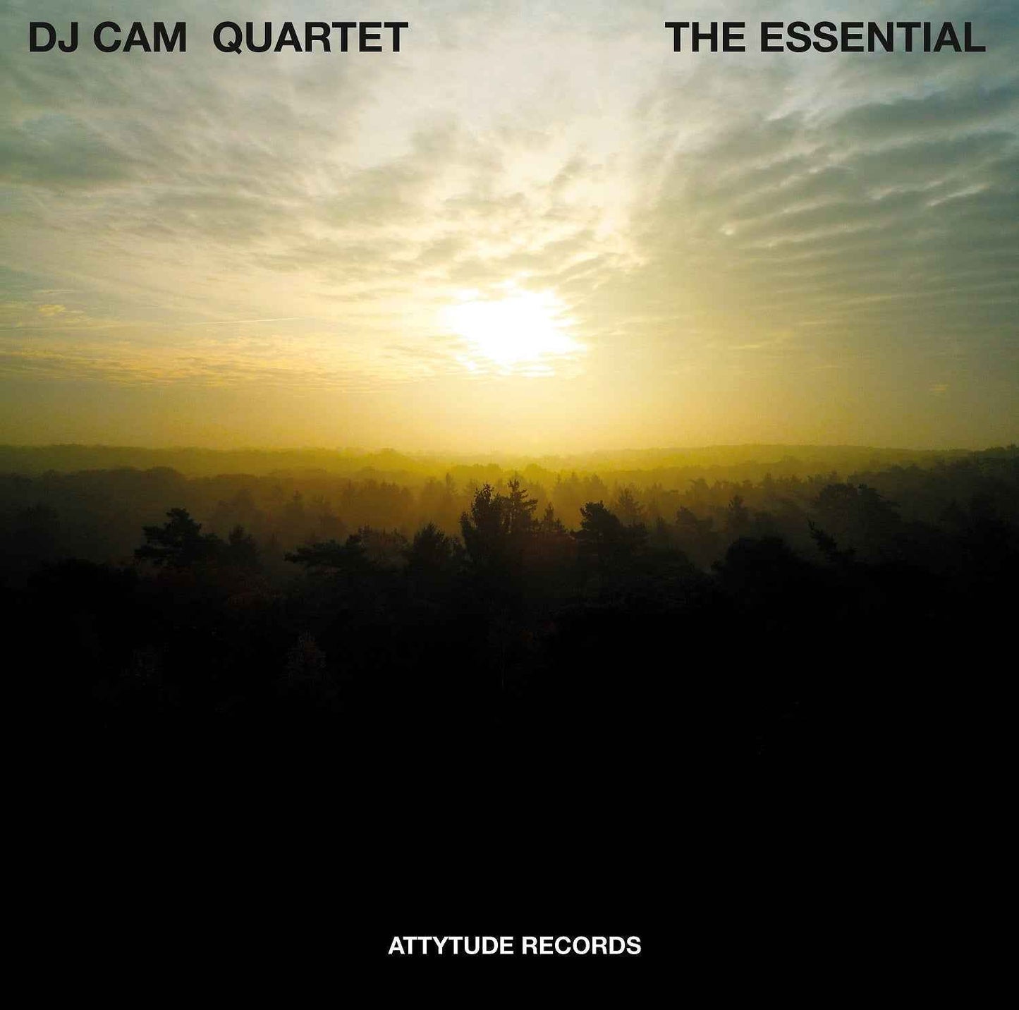 The Essential [Vinyl]