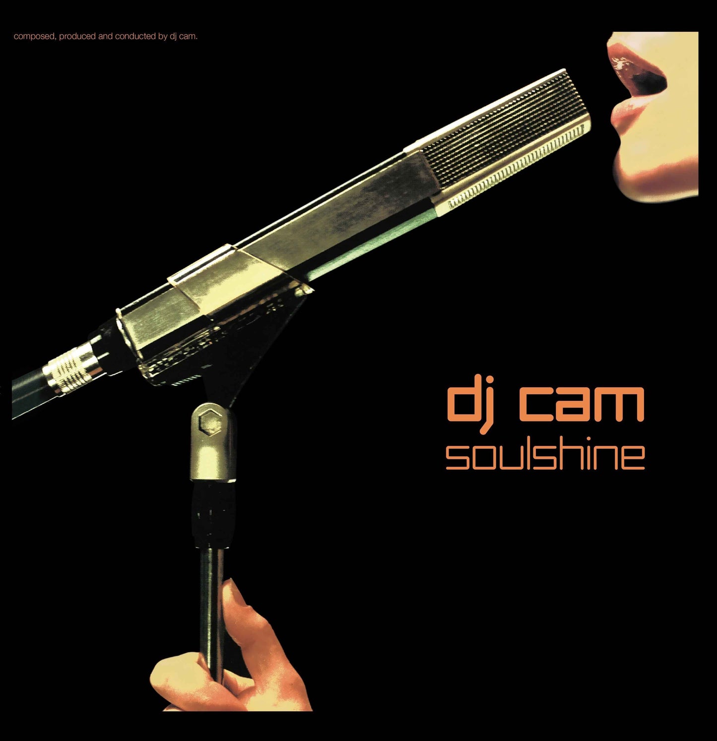 Soulshine [Vinyl]