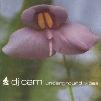 Underground Vibes [Vinyl]