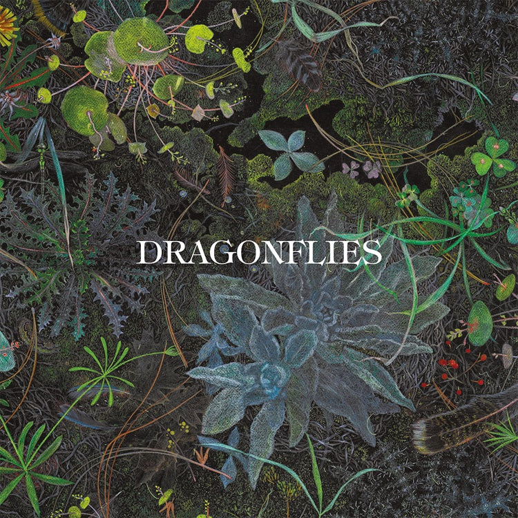PRE-ORDER Dragonflies - Dragonflies [CD]