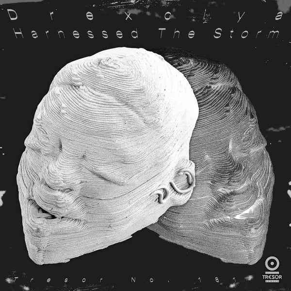 Harnessed The Storm [Vinyl]