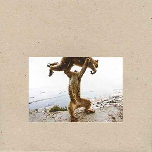 DUDE INCREDIBLE [Vinyl]
