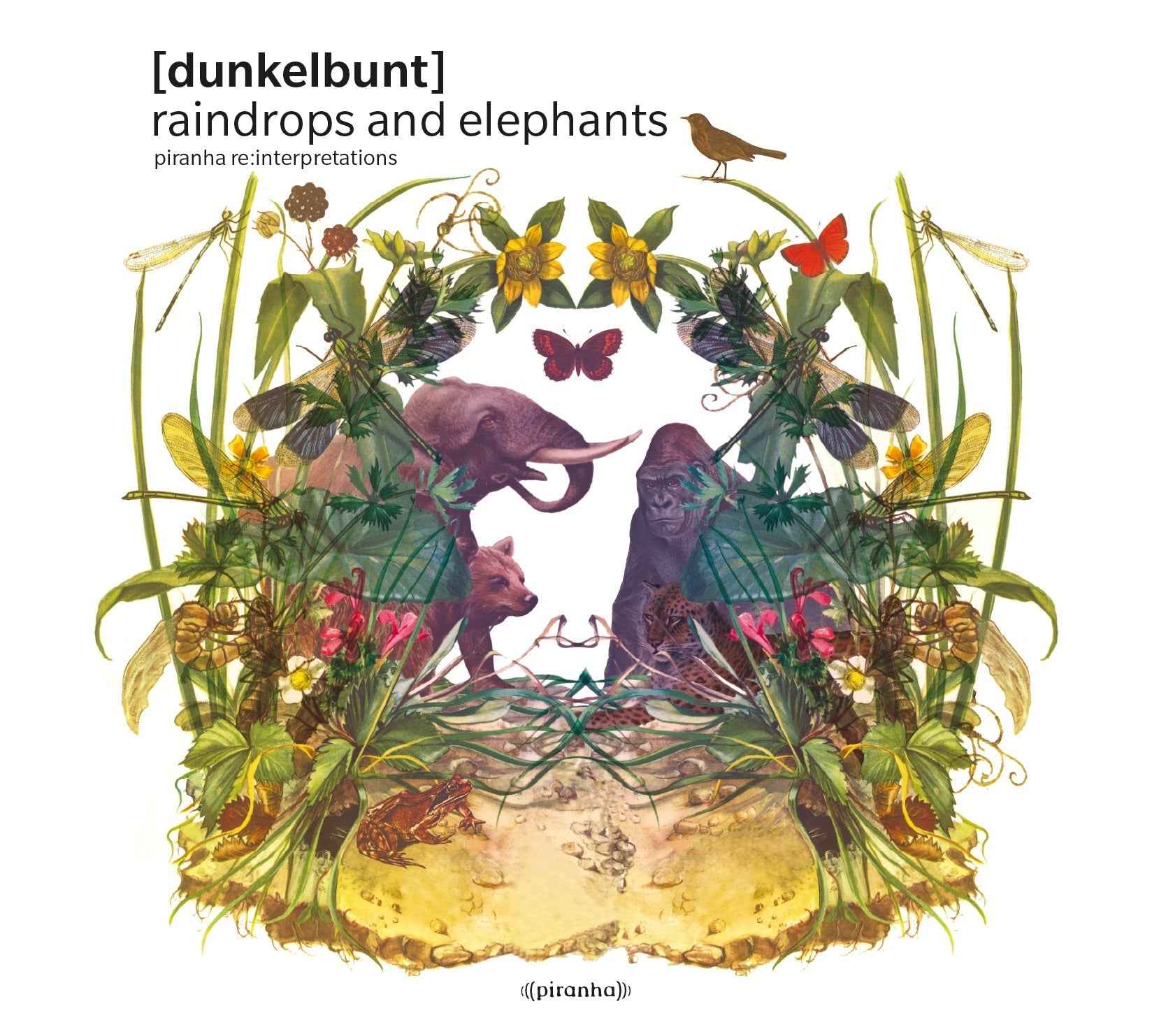 Raindrops and Elephants [Vinyl]