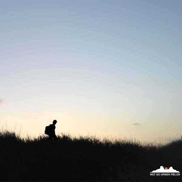Not So Green Fields [CD]