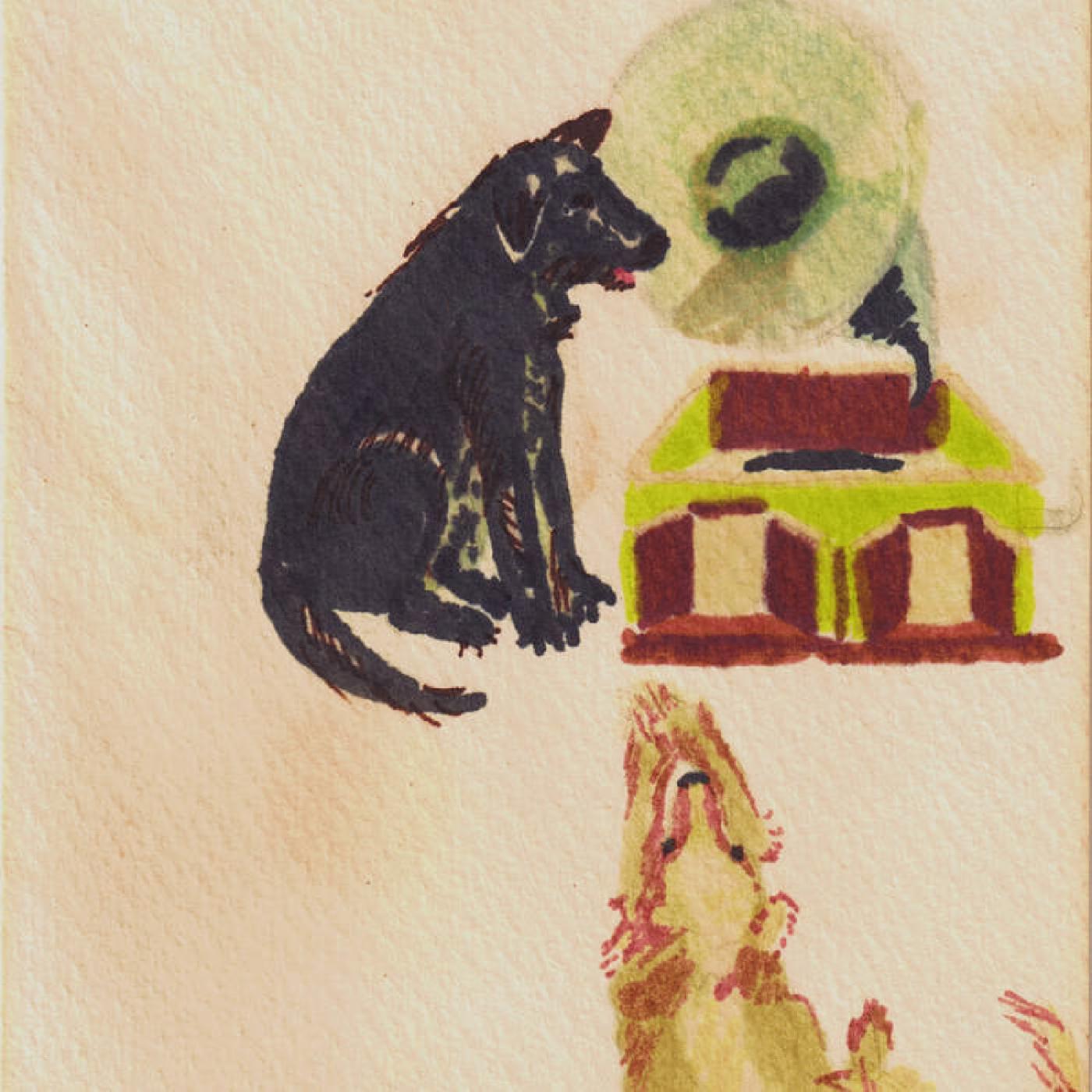 Dwaal Troupe - Lucky Dog [Vinyl]