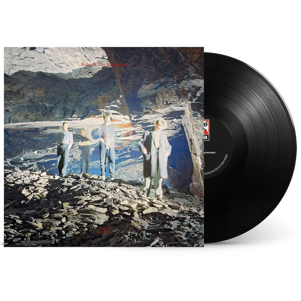 Silver: 40th Anniversary Edition (Black Friday 2024 Exclusive) [Vinyl]