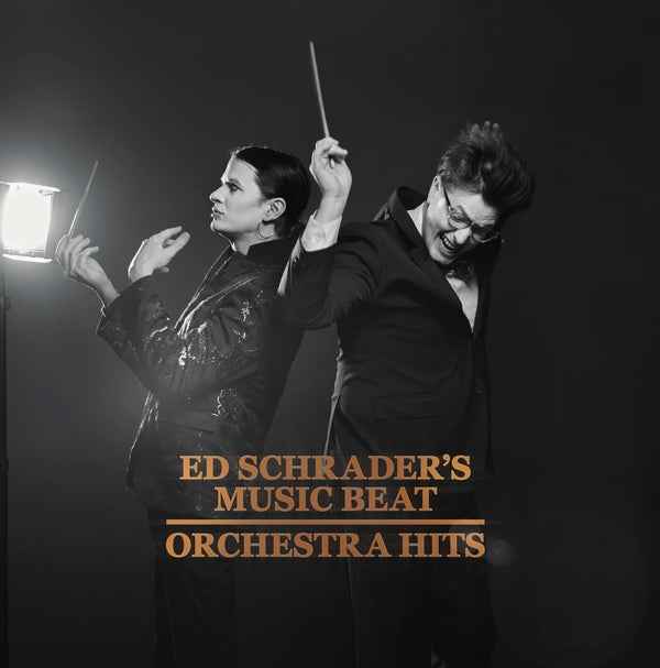 Orchestra Hits [Vinyl]