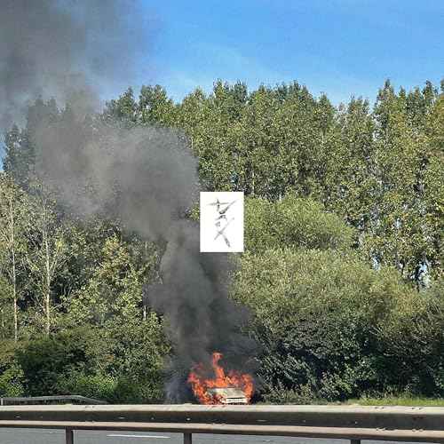 Dark [Vinyl]