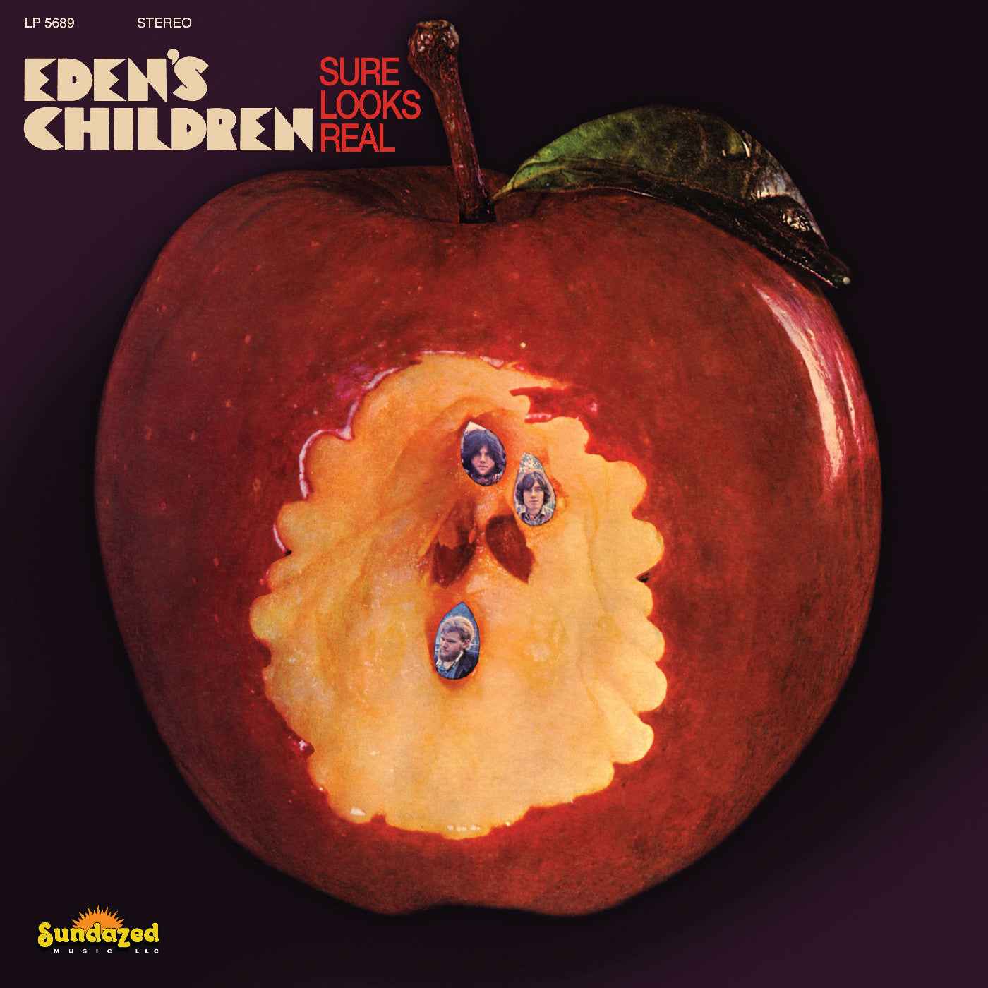 Sure Looks Real (Maroon Vinyl) [Vinyl]