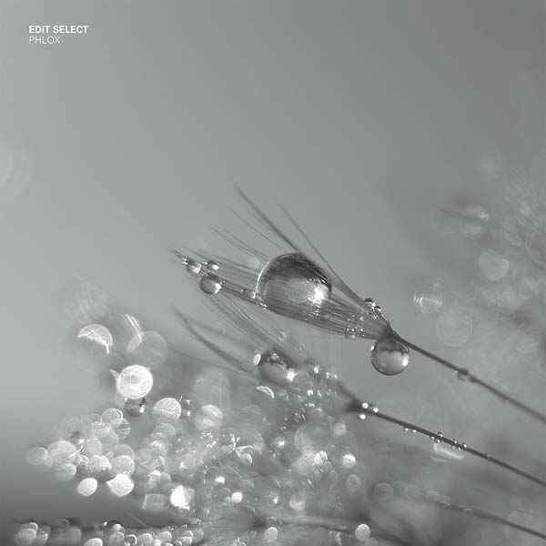 EDIT SELECT - Phlox [Vinyl]