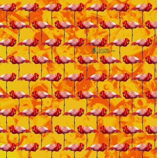 Dreamings & Offshore Drilling - Pearls And Turtles [CD]