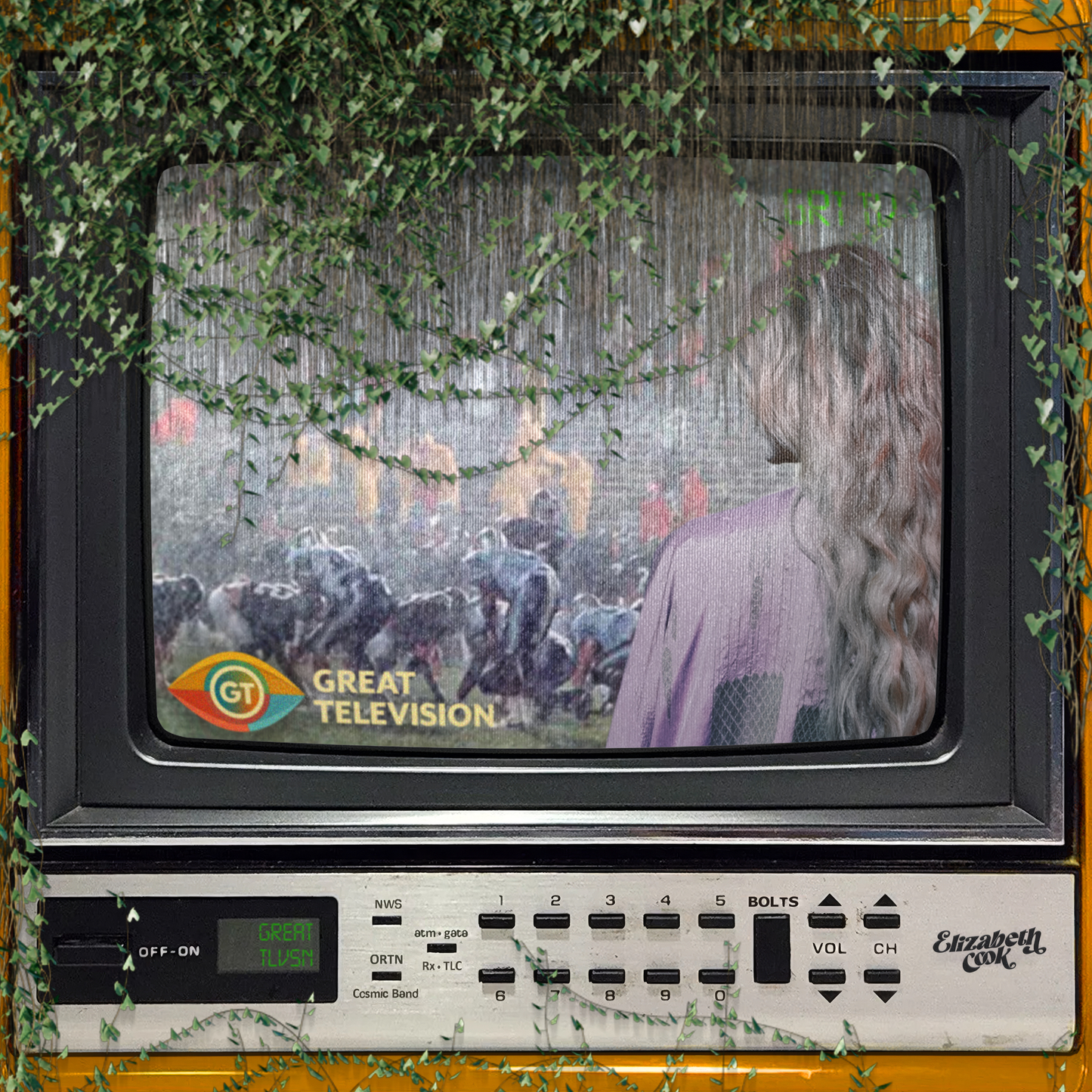 Elizabeth Cook - Great Television [CD]