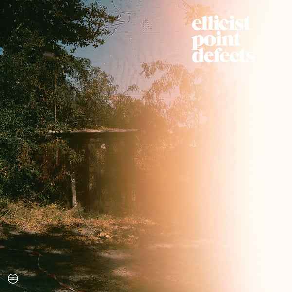 Point Defects [CD]