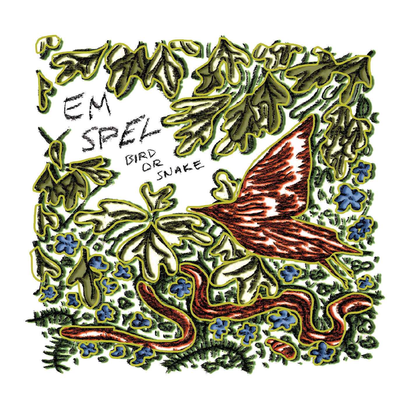 Bird Or Snake [Vinyl]